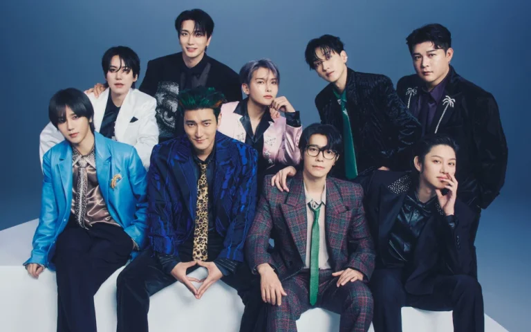 Super Junior Concert Accident Raises Concerns Over Temporary Barriers and Crowd Safety